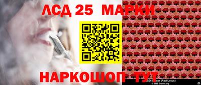 крисы Гатчина