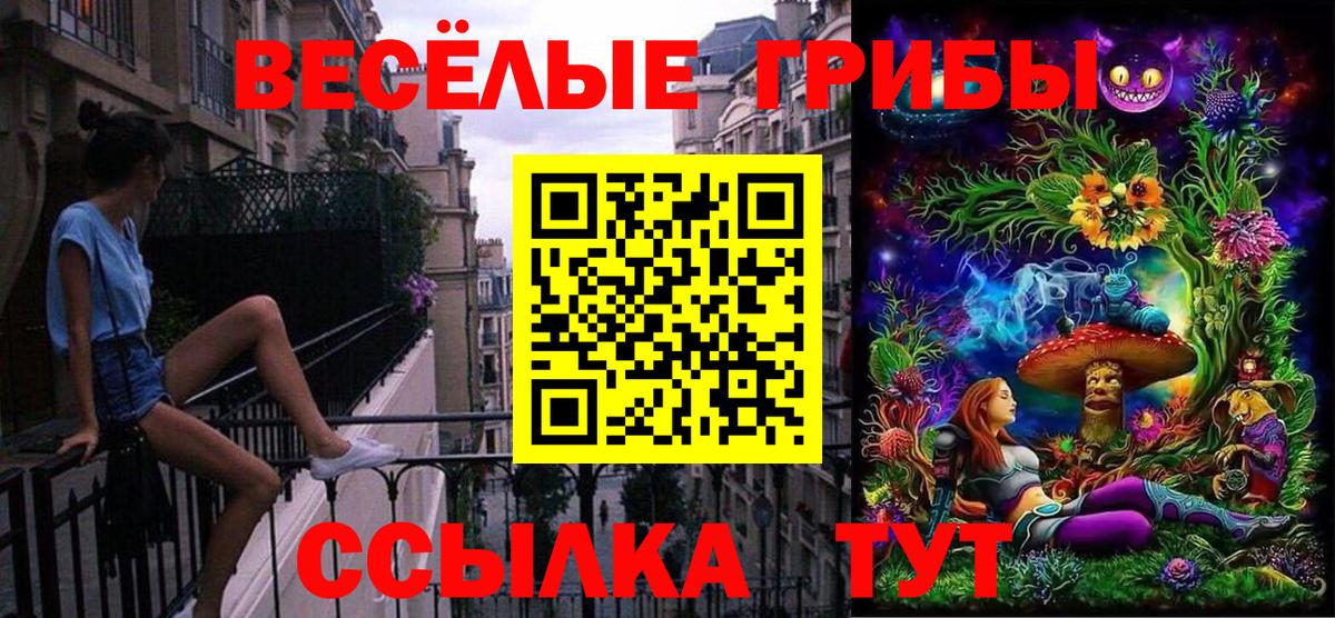 Галлюциногенные грибы мухоморы Курган